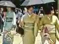 遊戲100 Butterflies in Japan在線