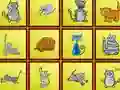 遊戲Cats Findiff在線