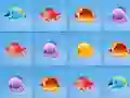 遊戲Fish Match Deluxe在線