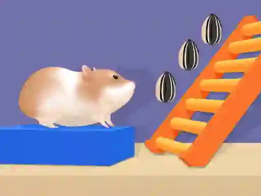 遊戲Hamster Stack Maze在線