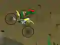 遊戲Ninja Turtle Bike在線