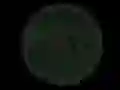 遊戲Stickshot 2在線