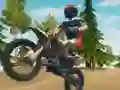 遊戲Dirt Bike Enduro Racing在線
