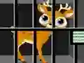 遊戲Animals Rescue在線