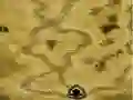 遊戲Gemcraft Chapter Zero在線