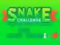 遊戲Snake Challenge在線