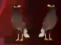 遊戲Peikin Duck Escape在線
