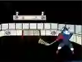 遊戲Capitaine Cage Hockey在線