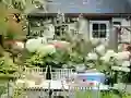 遊戲Flower Garden在線