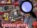 遊戲Hidden Spots In The Room在線