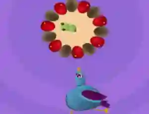 遊戲Pigeon Game在線