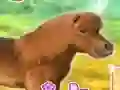 遊戲My Dear Pony在線