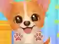 遊戲Adopt Your Pet Puppy在線