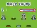 遊戲Pole Touch在線