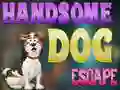 遊戲Handsome Dog Escape在線