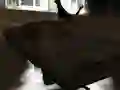 遊戲Drift Z在線