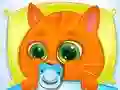 遊戲Lovely Virtual Cat在線