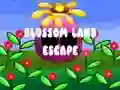遊戲Blossom Land Escape在線