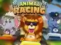 遊戲Animal Racing在線