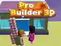 遊戲Pro Builder 3D在線