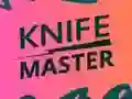 遊戲Knife Master在線