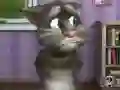 遊戲Talking Tom Cat 2在線