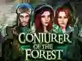 遊戲Conjurer Of The Forest在線