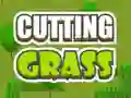 遊戲Cutting Grass在線