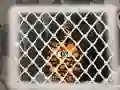 遊戲Tiger Escape 1在線