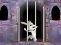 遊戲Victory Rabbit Escape在線