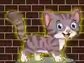 遊戲Loveable Small Cat Escape在線