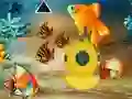 遊戲Save The Mother Fish在線
