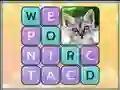 遊戲Word Search Pictures在線
