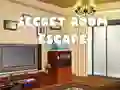 遊戲Secret Room Escape在線