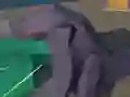遊戲Hakaiju在線