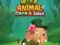 遊戲Wild Animal Care & Salon在線