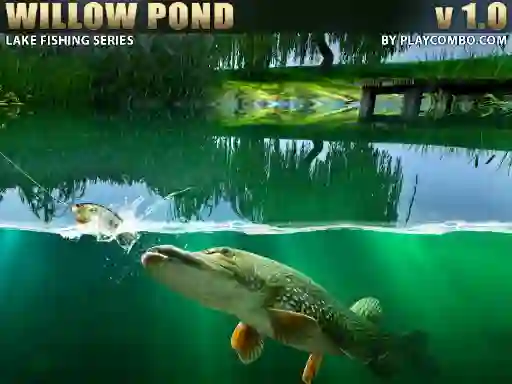 遊戲Willow Pond在線