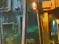 遊戲Playful Tortoise Escape在線