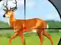 遊戲Wild Hunt Hunting Games 3D在線