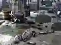 遊戲Friends Rescue From Skeleton在線