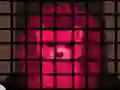 遊戲Porcupine Cage Breakout在線