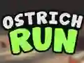 遊戲Ostrich Run在線