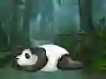 遊戲Wakeup The Sleeping Panda在線
