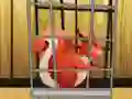 遊戲Rescue The Red Squirrel From Cage在線