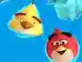 遊戲Coloring Book: Angry Birds在線