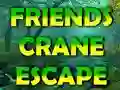 遊戲Friends Crane Escape在線