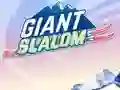 遊戲Giant Slalom在線