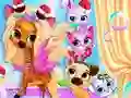 遊戲Pets Grooming Bubble Party在線