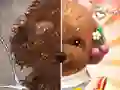 遊戲Pet Makeup Master在線