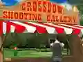 遊戲Crossbow Shooting Gallery在線